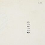 10156_EXTRA_LARGE.jpg