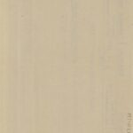 37618_EXTRA_LARGE.jpg