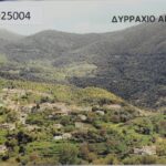 57026_EXTRA_LARGE.jpg