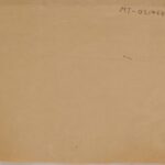 41598_EXTRA_LARGE.jpg