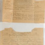 31212_EXTRA_LARGE.jpg